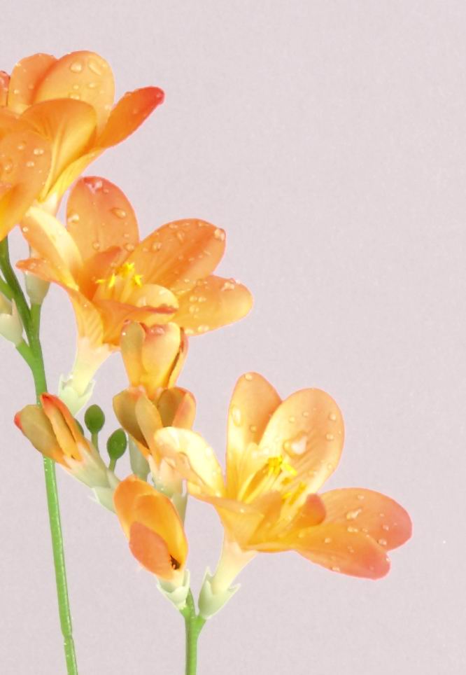 Kunstblumen Frühling Kunstblumen Frühling