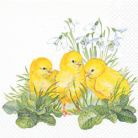 Osterservietten Osterservietten