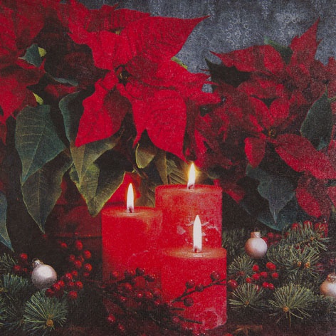 Servietten Candlelight Poinsettia