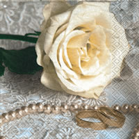 Servietten Hochzeitsringe, Auslaufartikel