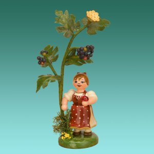 Herbstkind - Holunder