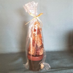 Kerze - Zapfenbaum im Topf