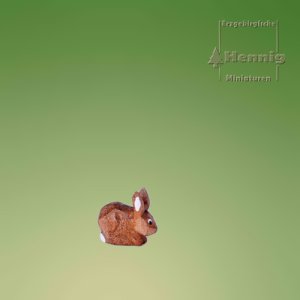 Hase