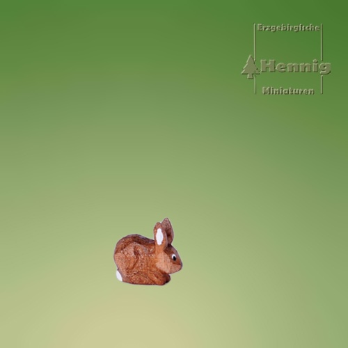 Hase