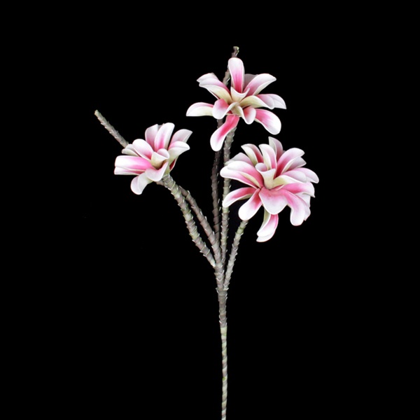 Magnolia x 3, pink 121cm