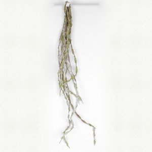 Liane, grau-braun 111cm