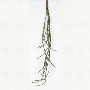 Liane, grün 111cm
