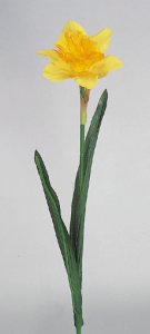 Narzisse, gelb, 50cm