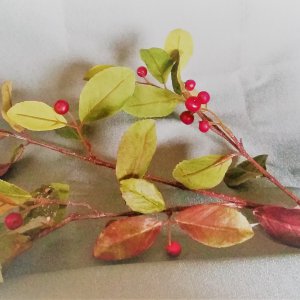 Gaultheriazweig, 67cm
