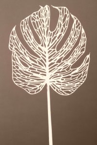 Monstera Skelektion schwarz, 80cm