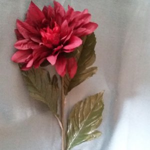 Dahlie, weinrot, 60cm