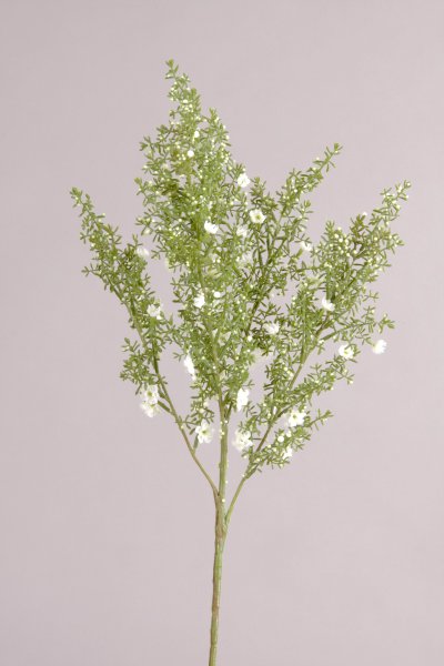 Wax Flower, gelb, 69cm