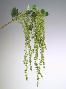 Hopfenzweig 102cm