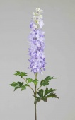 Delphinium, 96cm