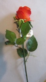 Rosenknospe, rot