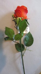 Rosenknospe, rot