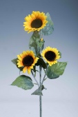 Sonnenblumenzweig x 3+2