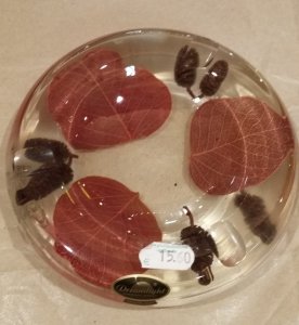 Ascher 19cm