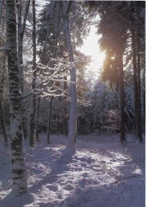 Weihnachtsskarte ohne Text 069
