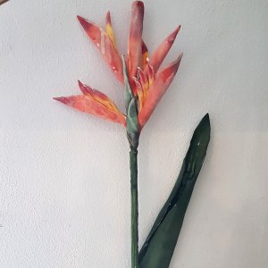 Strelitzie, 90cm