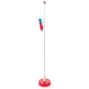 Klopfspecht rot - blau