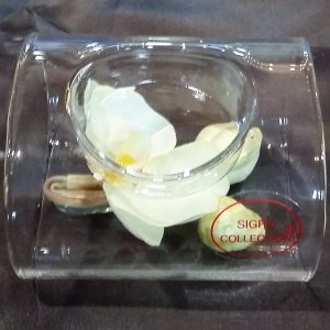 Glasleuchter Röhre Orchidee grün 7,5cm