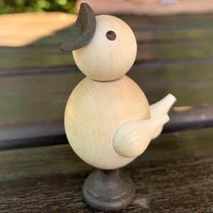 Zwitschervogel, Küken mit Stimme natur