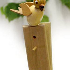 Singvogel mit Stimme
