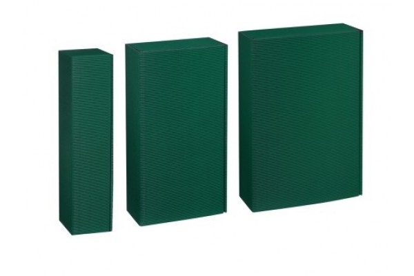 Geschenkkarton für 2 Flaschen