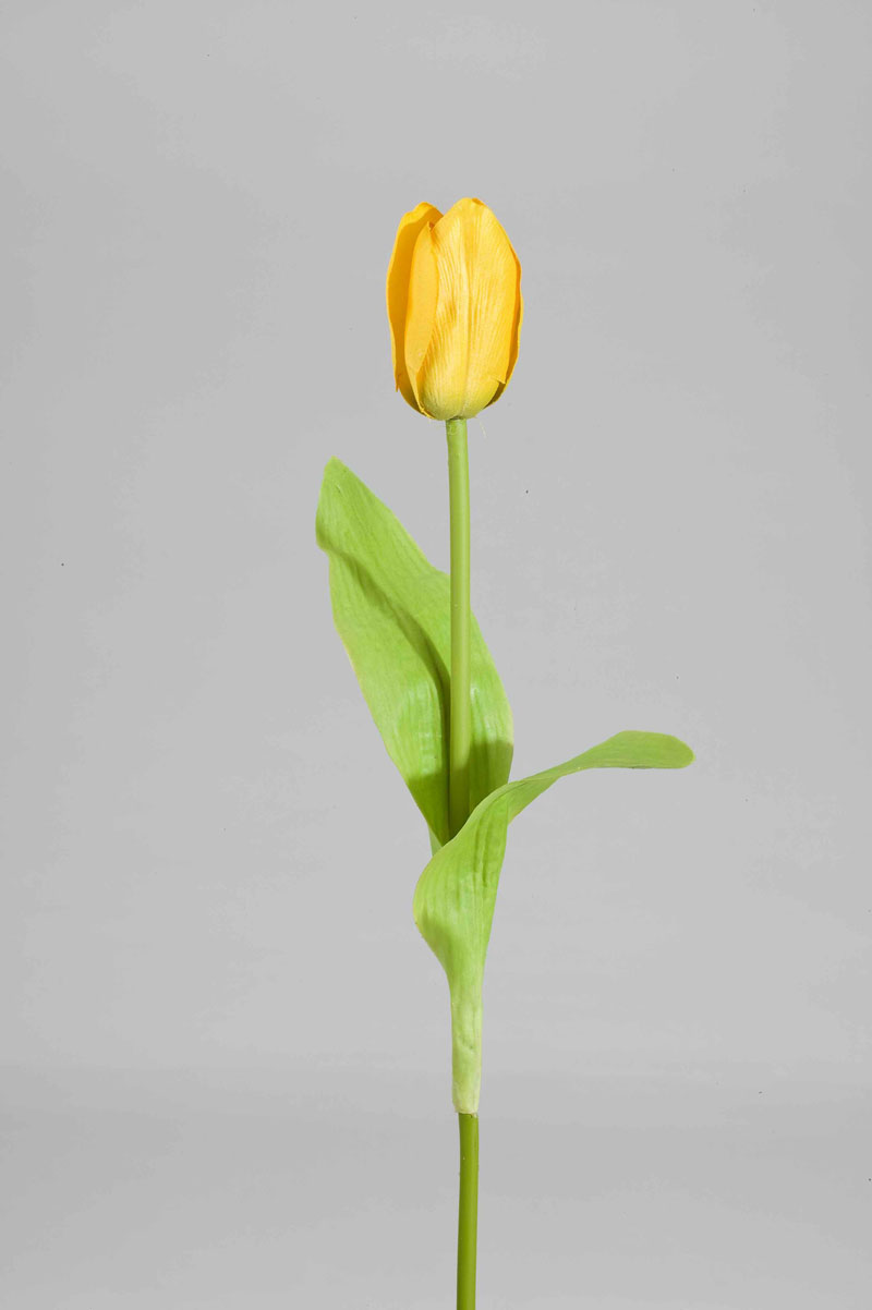 Tulpe, gelb, 42cm