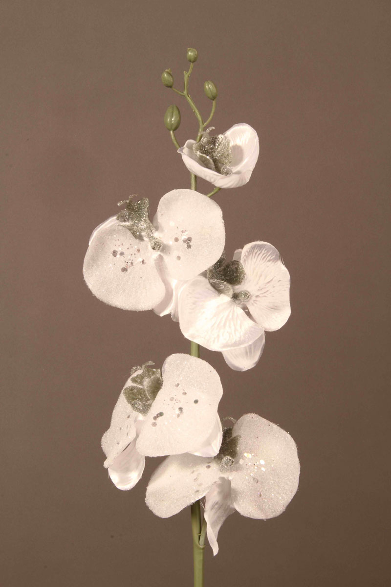 Orchidee, silber, 75cm