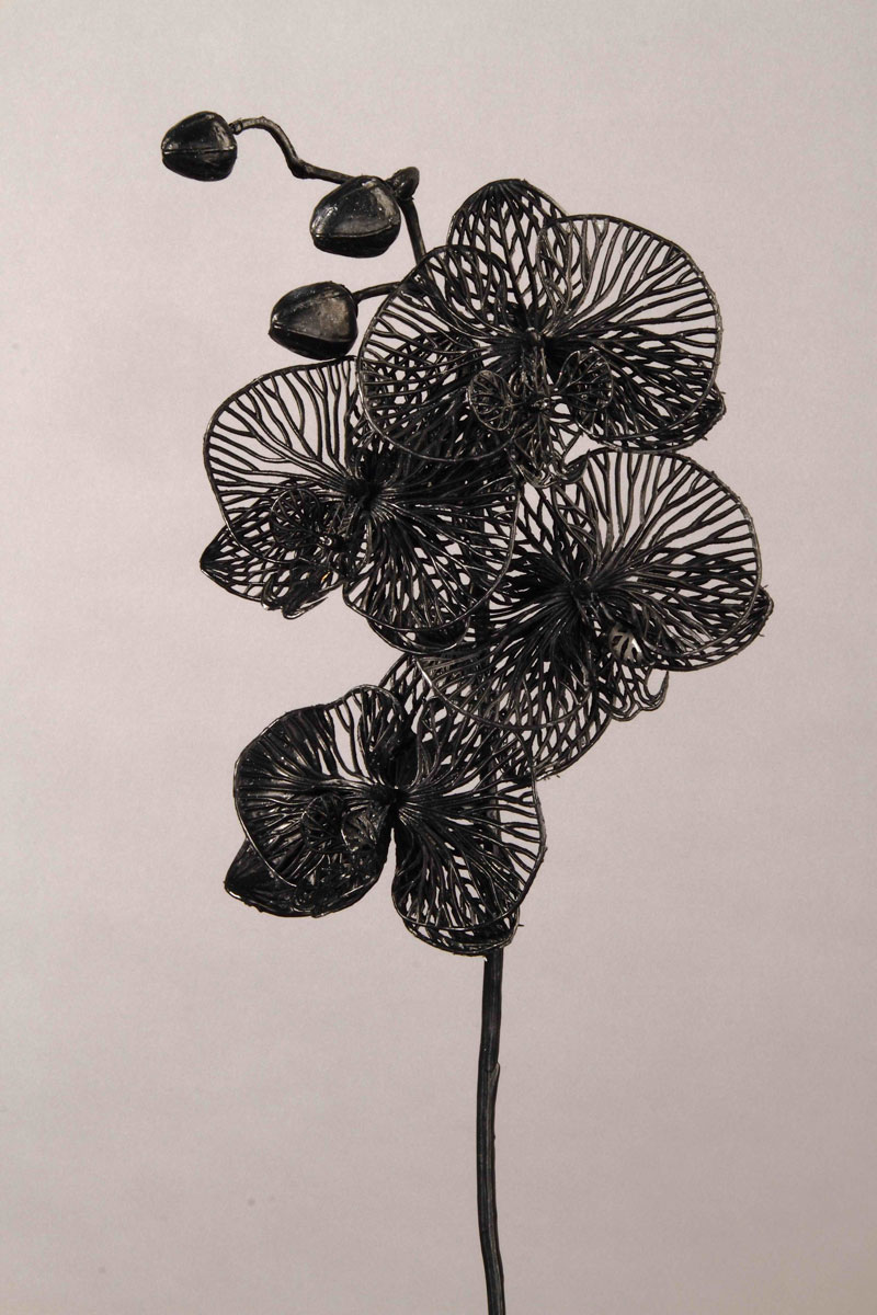 Phalaenopsis x 4 + 3, grün, 80cm