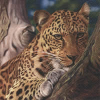 Servietten Leopard, Auslaufartikel